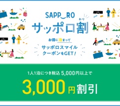 Одноместный номер Standard в Hotel New Budget Sapporo