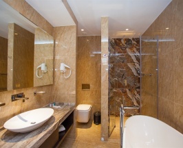 Люкс мансарда в Aria