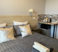 Улучшенная гостевая комната вид на город в На Невском