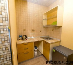 Стандартный двухместный номер в Красный Подсолнух