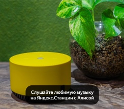 Семейный трехместный номер в Олива