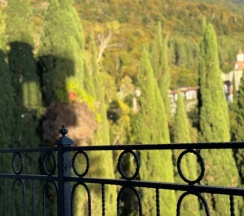 Номер Comfort в Лучезарный