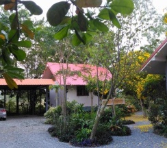 Бунгало Superior в Areeya Resort