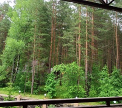 ЛЮКС  № 20 в Золотые пески