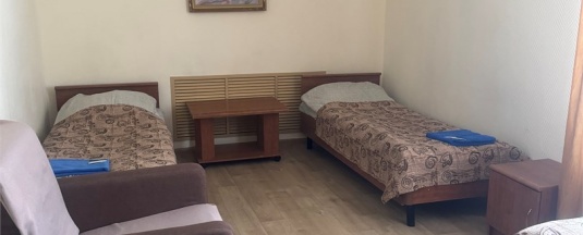 Трехместный номер эконом класса с общей ванной в Электрон