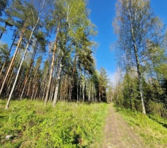 Коттедж с красивым видом из окна в Уют for You