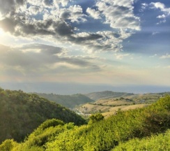 Шале с красивым видом из окна в SweeDom