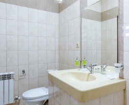 Двухместный номер Standard двуспальная кровать в Гостиница