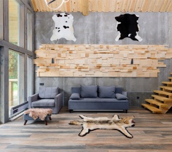 Дом Волка в Odin House