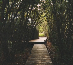21 Forest-house в Apparadise