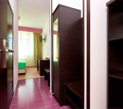 ТВИН без балкона в Диса