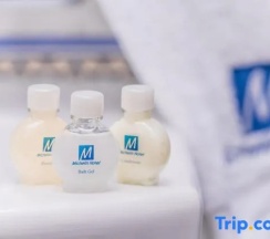 Двухместный номер Superior двуспальная кровать в Отель Michelin