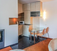 Апартаменты Comfort в Vila Viola