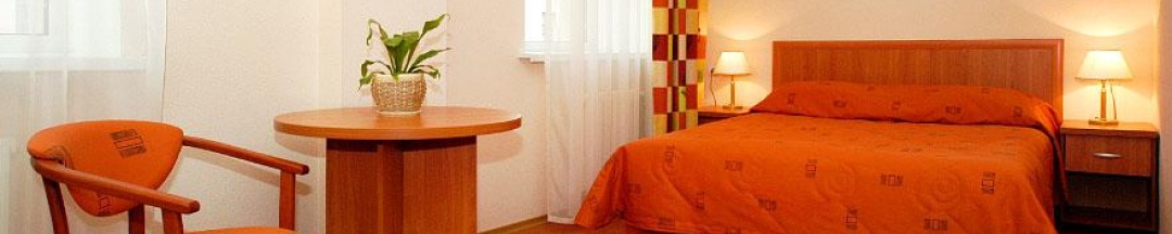 Номер стандарт с 1 двуспальной кроватью (с завтраком) в Металлург