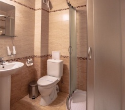Стандарт с одной 2-сп.кроватью в Green wood