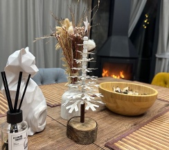 Lato-76 в Домик у Сорочан