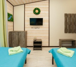 2-местный номер стандарт в Северное сияние