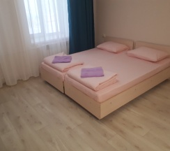 Двухместный люкс 2 отдельные кровати в Домашний