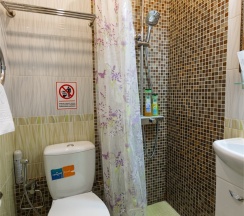 8 Одноместный номер(стандарт),с двухспальной кроватью. в Аппартамент