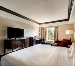 Двухместный номер Standard двуспальная кровать в Hotel Bonaventure Montreal