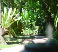 Двухместный номер Standard двуспальная кровать в Samui Sense Beach Resort