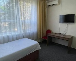 Двухместный номер Standard 2 отдельные кровати в Park Hotel