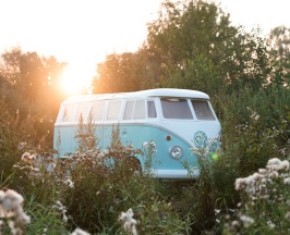 Hippy Blue в Hippy Hotel