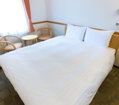 Номер Standard в Toyoko Inn Okinawa Naha Omoromachi Ekimae