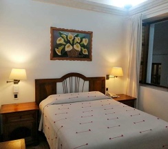 Одноместный номер Standard в Hotel Aitana Oaxaca