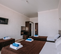 Полулюкс четырехместный с балконом в Космос