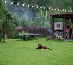 2-комнатный коттедж стандарт в BraunHaus