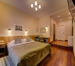 Номер стандарт с 1 двуспальной кроватью в Давыдов