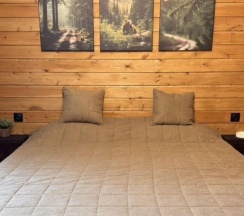 Коттедж улучшенный в Ёлки-Дом у леса