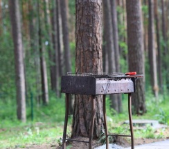 Барнхаус №1 с панорамой в ДухЛес