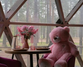 Сфера Барби в Forest lake