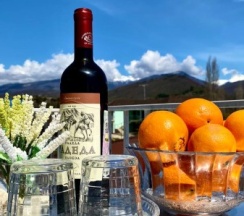 2-местный номер Супериор с балконом в Петрович