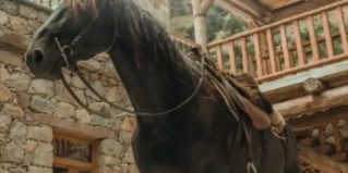 Верхняя Балкария: Гостевой дом Гостевой дом Жангуразовых