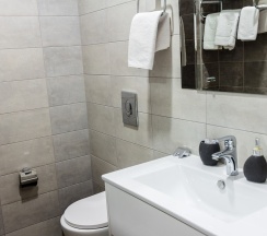 Трехместный стандарт в Аристоль