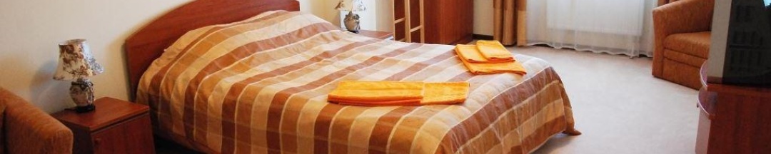 Номер комфорт с 1 двуспальной кроватью в Одинцовский спортивно-зрелищный комплекс
