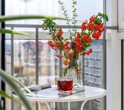 1-комнатные апартаменты улучшенные в Апельсин