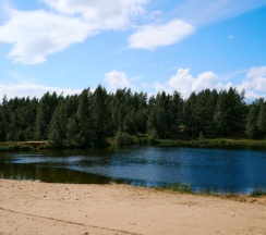 Коттедж премиум Бруклин в Хижины