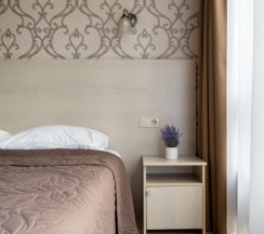 Стандарт с 1 кроватью в Дана