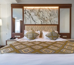 Двухместный номер Premium с видом на город двуспальная кровать в Best Western Plus Astana