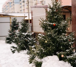 Одноместный домик в Алмаз