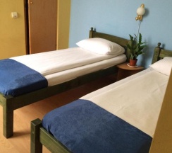 Двухместный номер Standard 2 отдельные кровати в Pensiunea Casa Raul