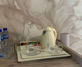 Стандарт улучшенный с балконом вид на парк в Черноморец