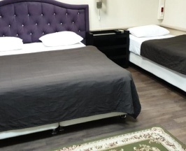 3-местный номер комфорт в Базис-М