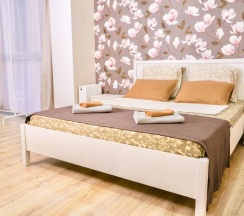 2-комнатные апартаменты люкс в B-Flats (Би-Флэтс) на улице Ленина 9