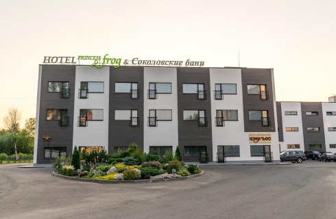 Дмитров: Отель Princess frog
