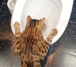 Квартира в Апартаменты на ул, Горького, 23а